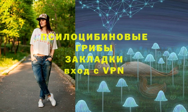 ALPHA PVP Алексин