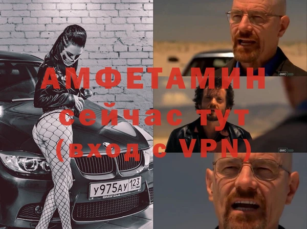 стафф Алзамай