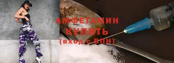 стафф Алзамай