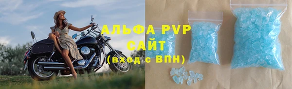 стафф Алзамай