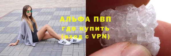 сатива Няндома