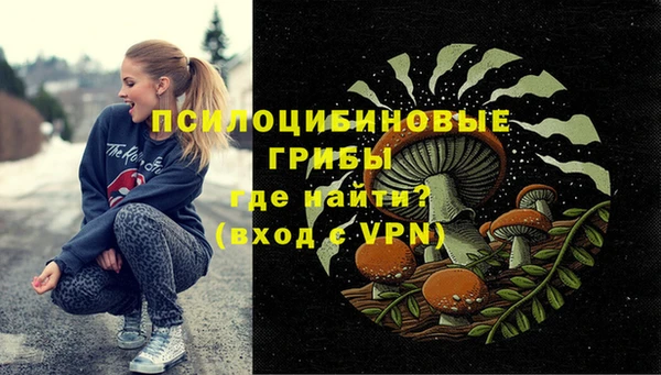 стафф Алзамай