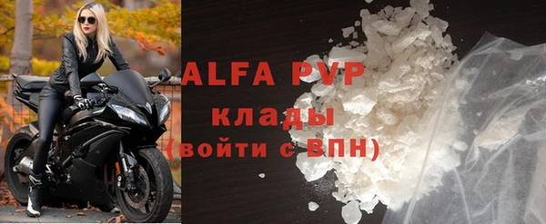 стафф Алзамай