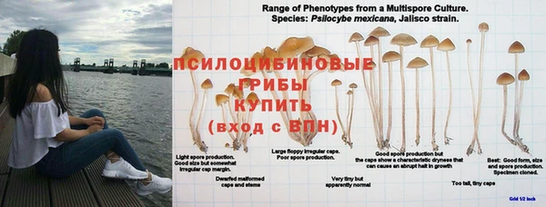 наркотики Алексеевка